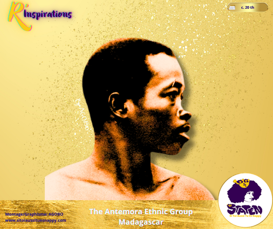 Antemora