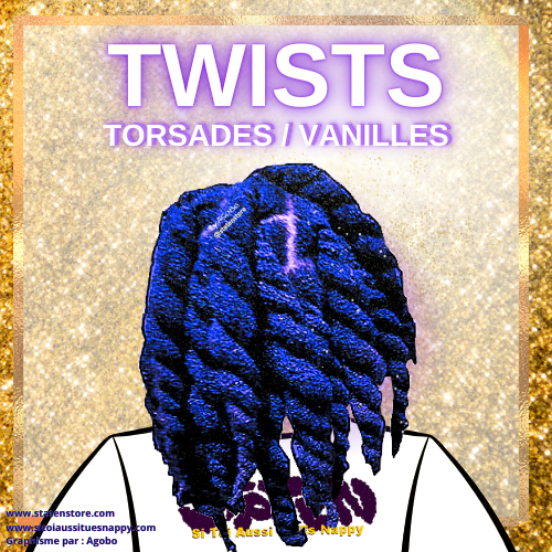 Coiffures Twists/Vanilles