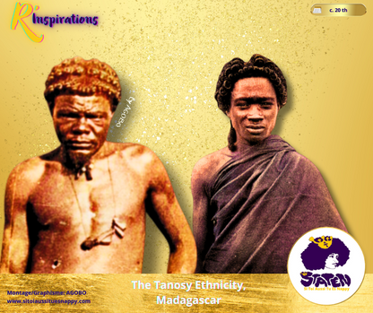 Bantu Knots & Tresses/Twists  - Homme