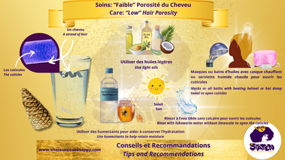 📄 La porosité des cheveux : qu’est-ce que c’est ?
