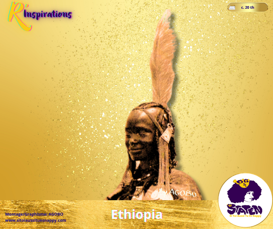 🌍 Les Plumes - Afrique