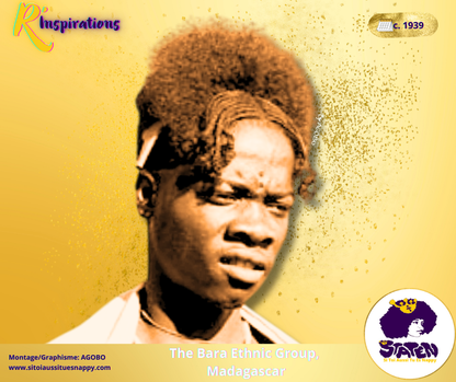 Afro & Tresses - Homme