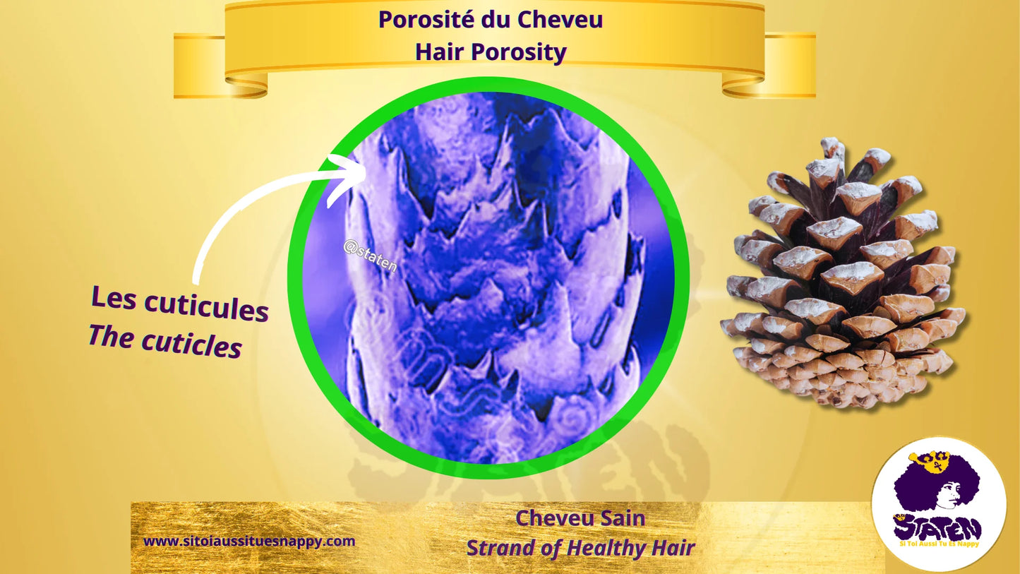 📄 La porosité des cheveux : qu’est-ce que c’est ?
