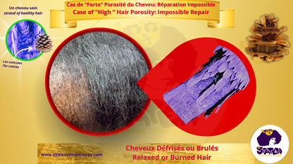 Les cheveux avec une faible porosité