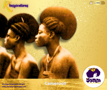 🌍Tresses - Afrique