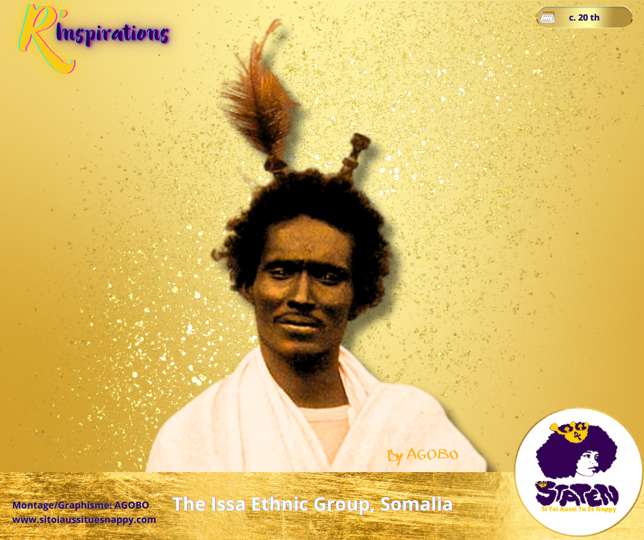 🌍 Les Plumes - Afrique