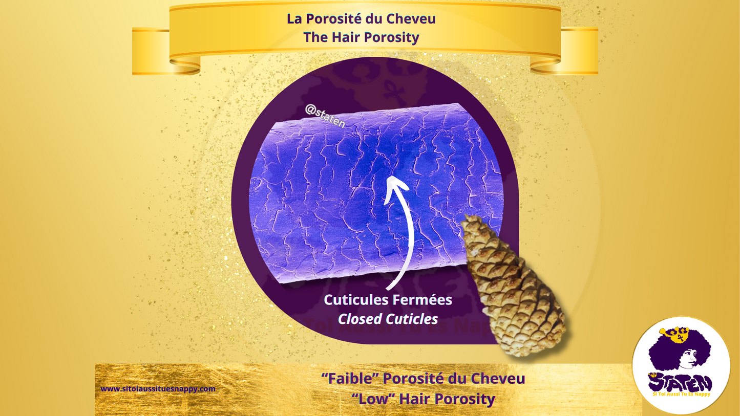 Les cheveux avec une faible porosité