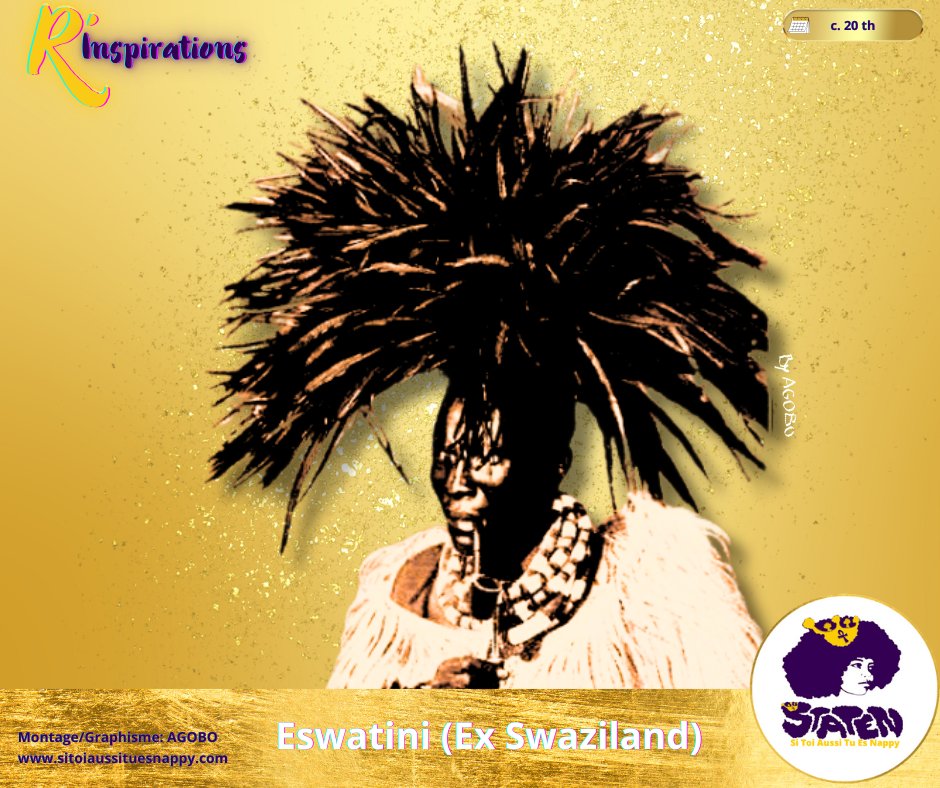 🌍 Les Plumes - Afrique