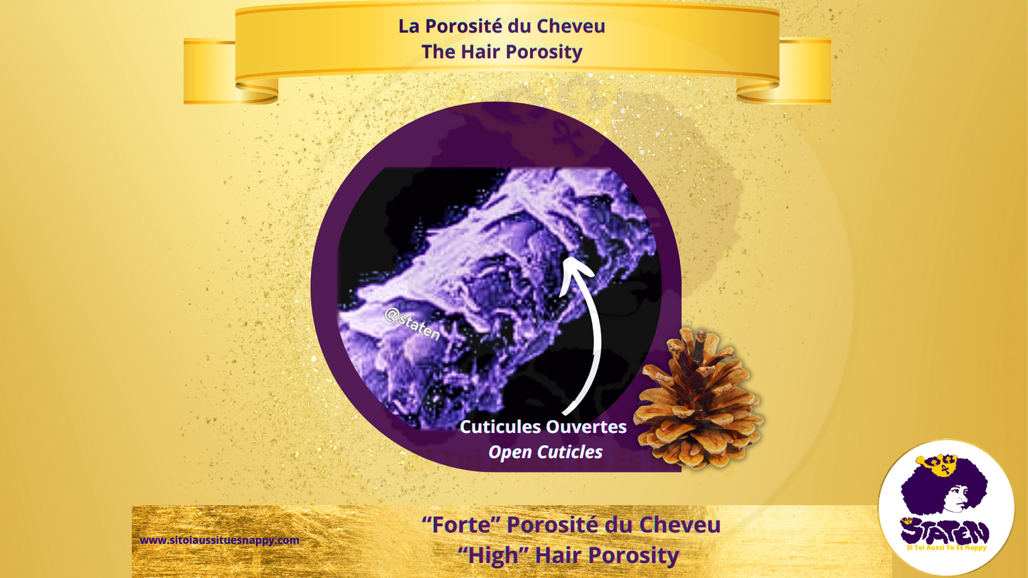 📄 La porosité des cheveux : qu’est-ce que c’est ?