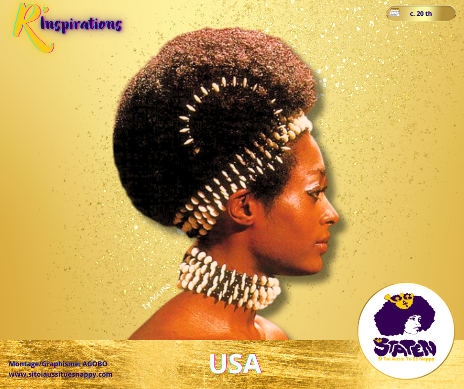 🌍 Afro - Amérique
