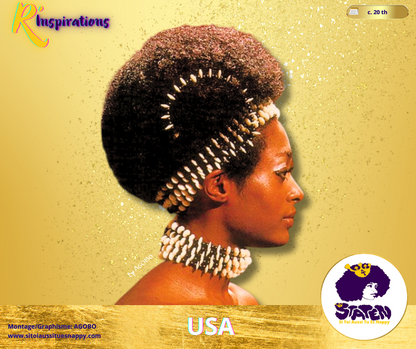 🌍 Afro - Amérique