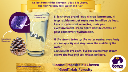 📄 La porosité des cheveux : qu’est-ce que c’est ?