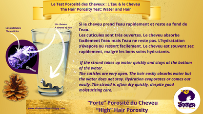 📄 La porosité des cheveux : qu’est-ce que c’est ?