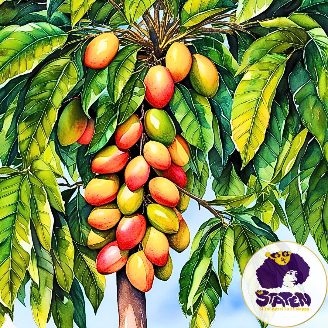 The Benefits of Mango Leaves on Hair