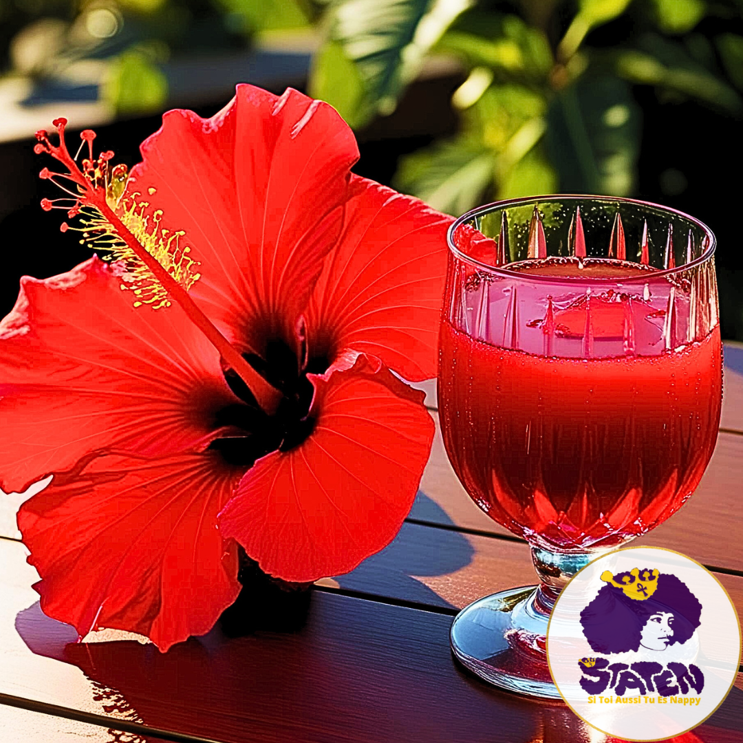 The Virtues of Hibiscus/Bissap Flowers on Hair