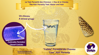 📄 La porosité des cheveux : qu’est-ce que c’est ?