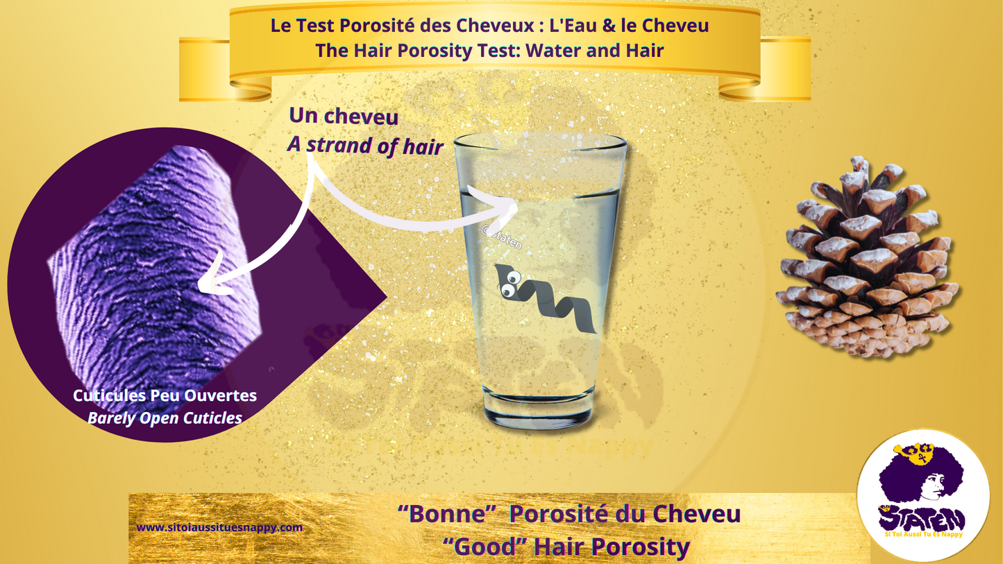 Les cheveux avec une bonne porosité
